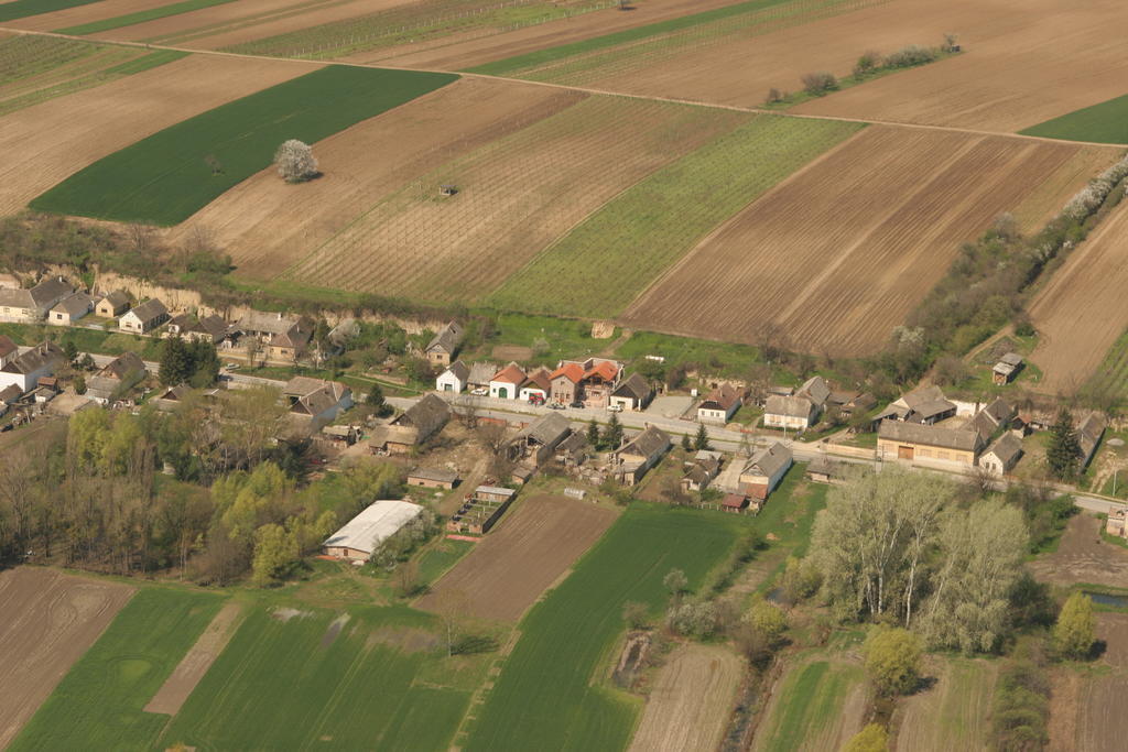 Podrumi Kolar "Suza Baranje" Kneževi Vinogradi Eksteriør billede