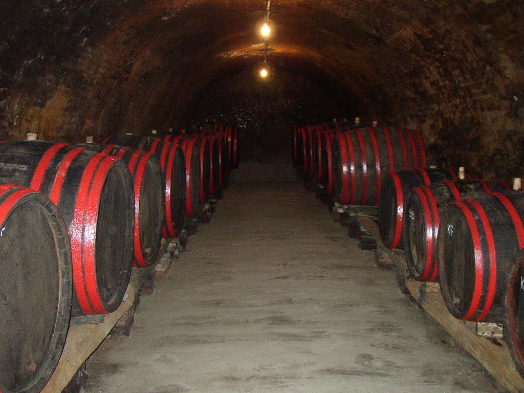Podrumi Kolar "Suza Baranje" Kneževi Vinogradi Eksteriør billede