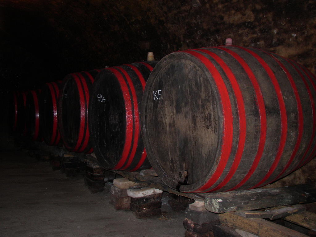Podrumi Kolar "Suza Baranje" Kneževi Vinogradi Eksteriør billede